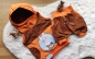 Preview: Patch / Aufnäher  - Hase mit Karotten - Blau